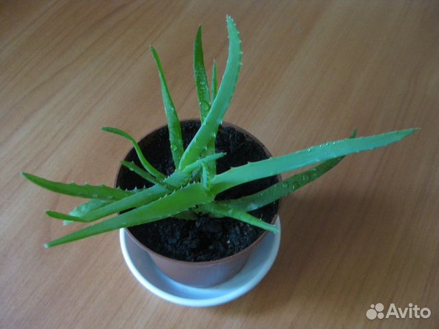 Как сделать замок из спички Как сделать замок из спички