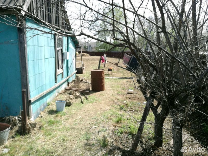 Дача Красный Восток Биробиджан Купить