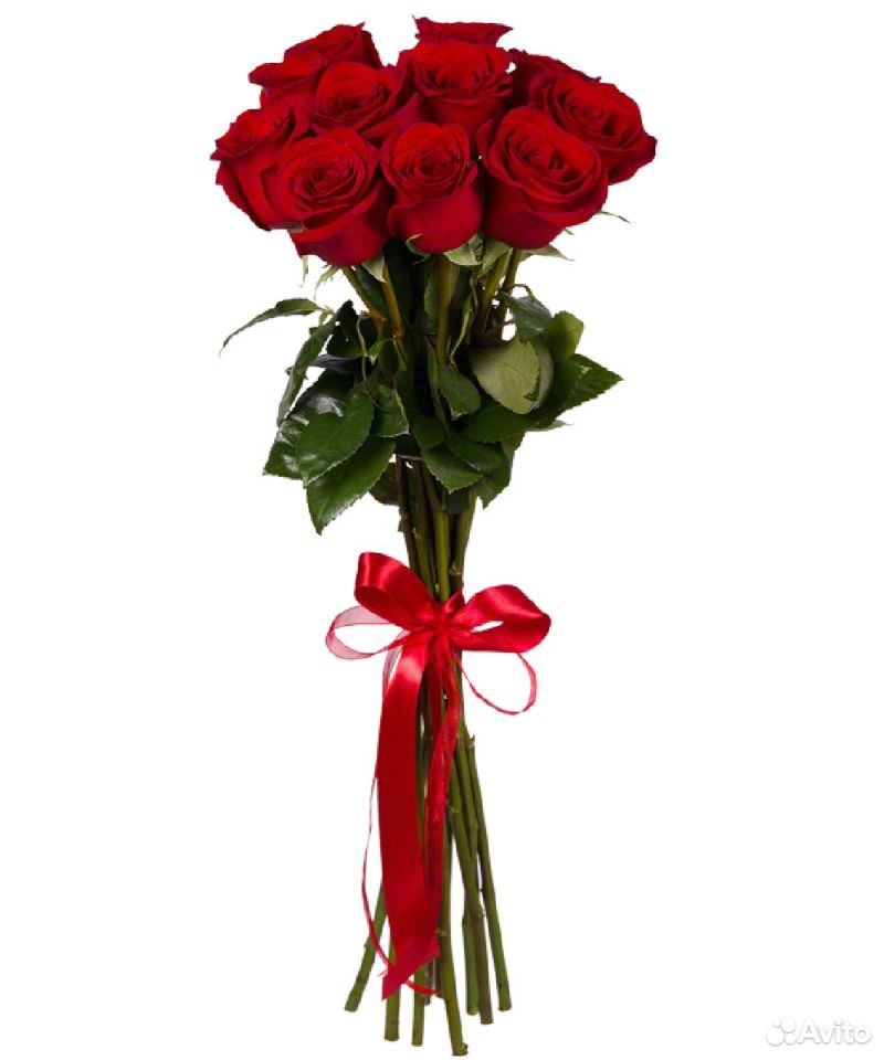 Цветы,Букет Роз,Роза от 99 р Архангельск,доставка купить на Зозу.ру - фотография № 4