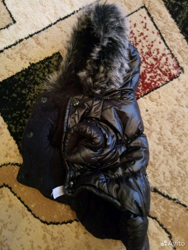 Курточка для собачки купить на Зозу.ру - фотография № 3