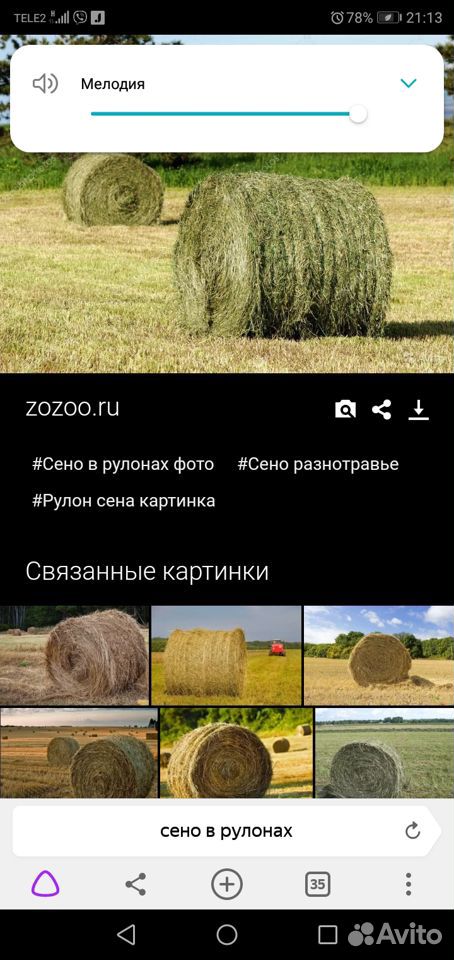 Продам сено в рулонах, россыпью купить на Зозу.ру - фотография № 1