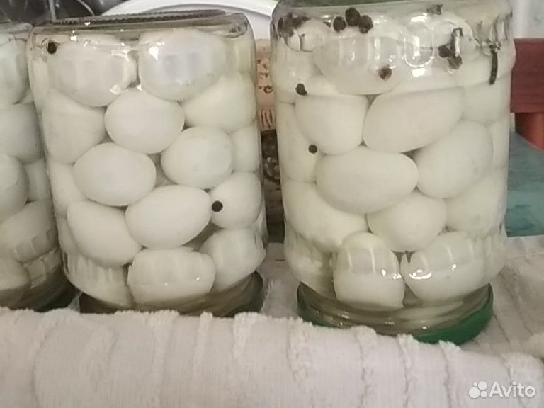 Маринованные перепелиные яйца купить на Зозу.ру - фотография № 1