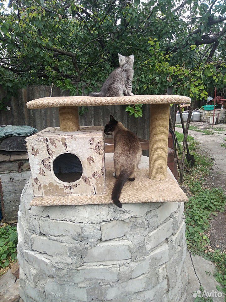 Домик для кошки купить на Зозу.ру - фотография № 5
