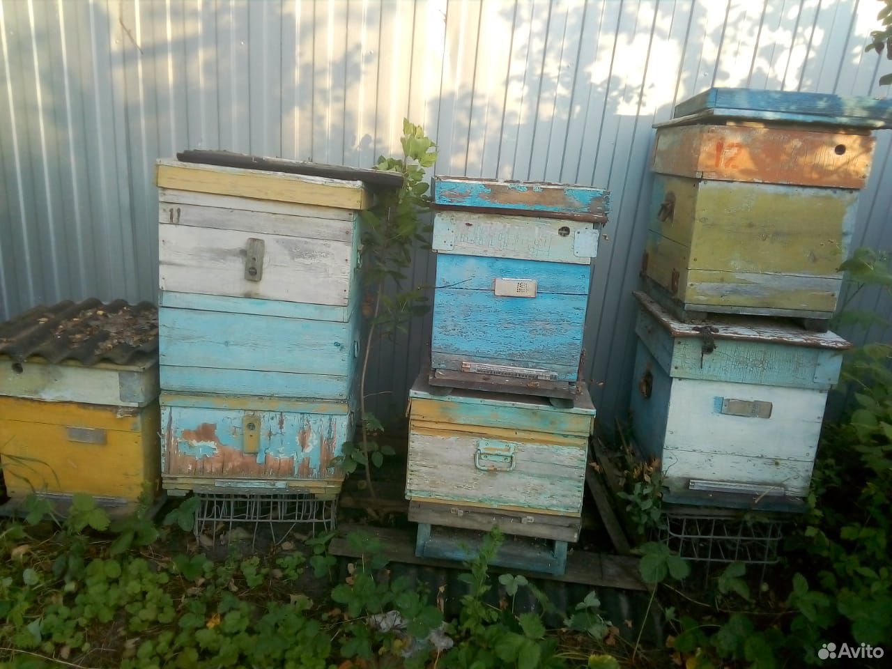 Продам улей для пчёл купить на Зозу.ру - фотография № 1