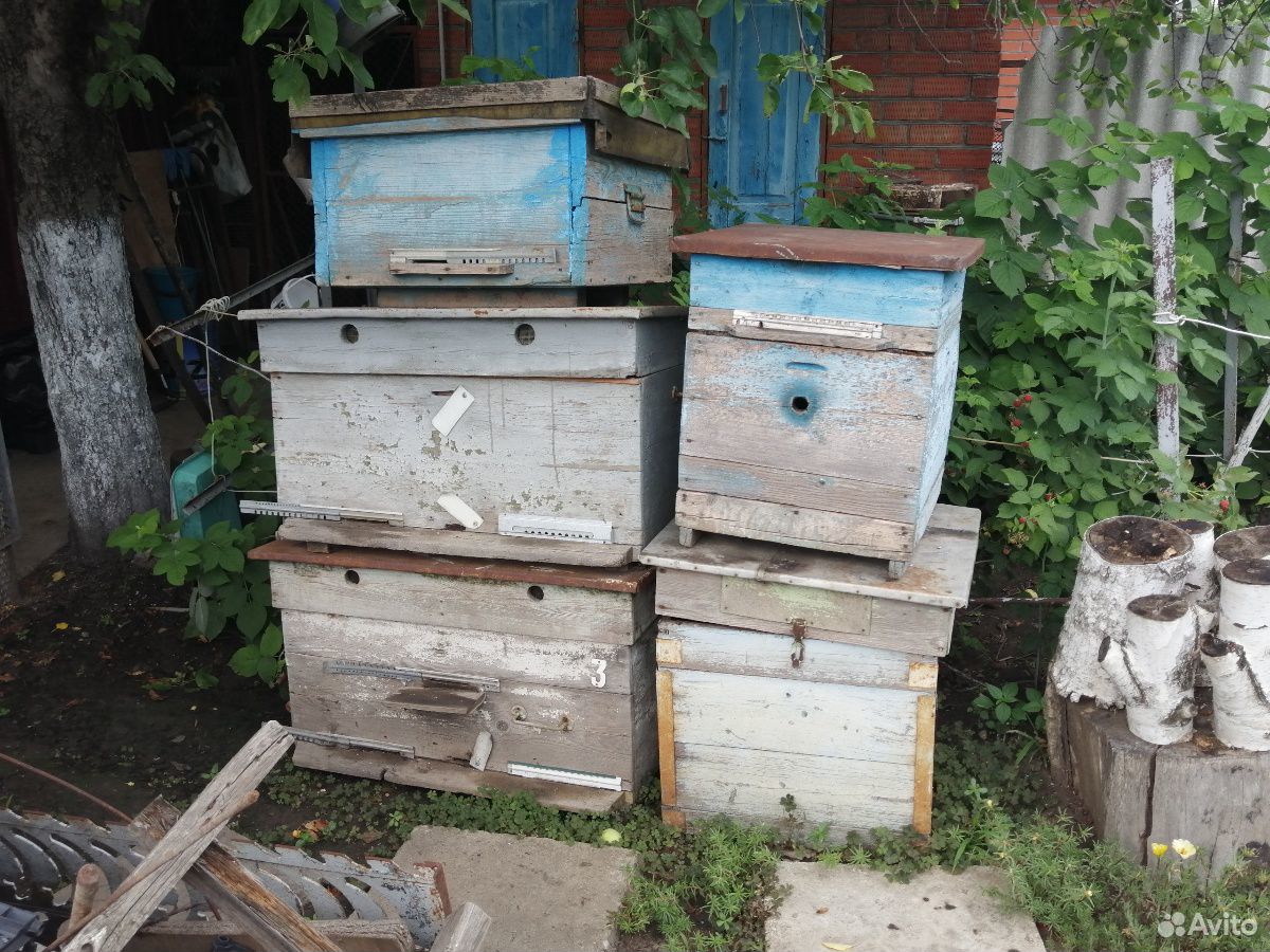 Улики для пчёл купить на Зозу.ру - фотография № 1
