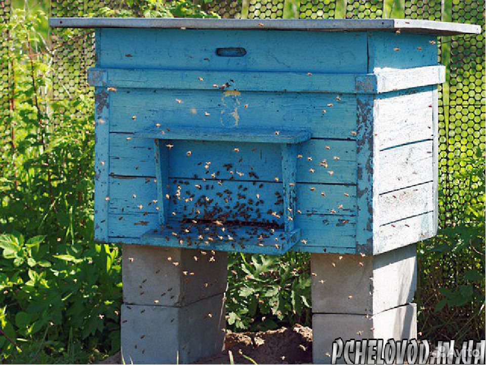 Продам пчеловодческий инвентарь купить на Зозу.ру - фотография № 1