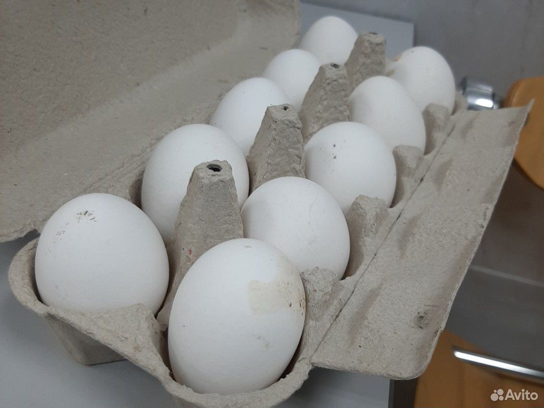 Яйцо куринное купить на Зозу.ру - фотография № 2