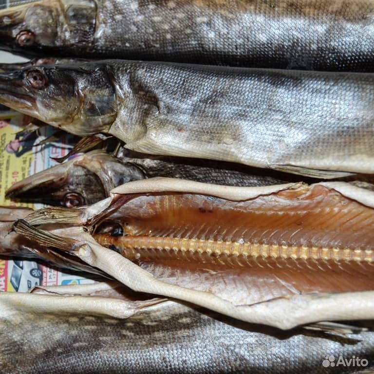 Рыба. Краснопёрка вяленая купить на Зозу.ру - фотография № 10