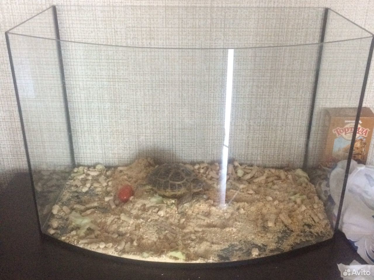 Черепаха Сух-я с аквариумом купить на Зозу.ру - фотография № 3