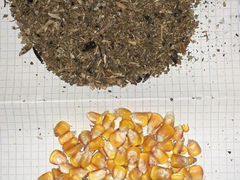 Отходы семечек и кукураза сухая