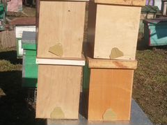Продам пчелопакеты среднерусской породы 2020