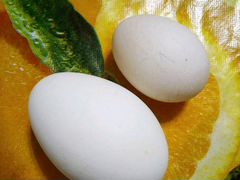 Утиные и гусиные инкубационные яйца