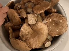 Белые грибы свежие, сушеные, маринованные, заморож