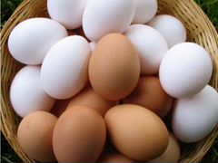 Продам яйца курицы доминанта на инкубатор