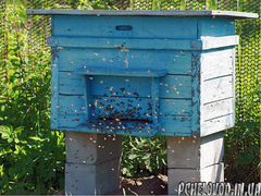Продам пчеловодческий инвентарь