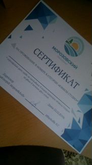Сертификат в прафилокторий 