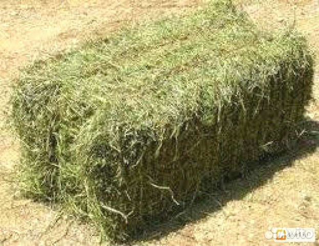 Сено, Солома в брикетах