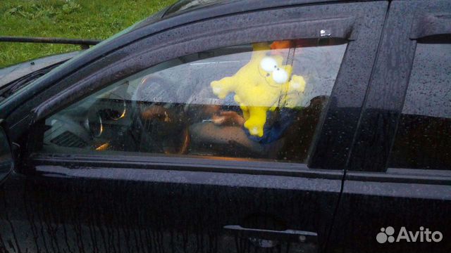 Кот саймон на присосках в авто