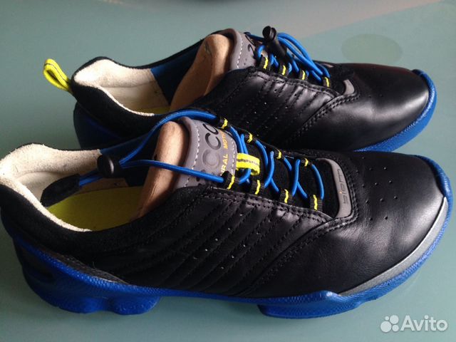 ecco biom train