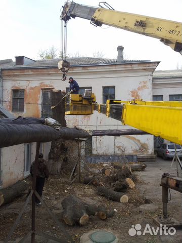 Опиловка обрезка спил кронирование снос деревьев