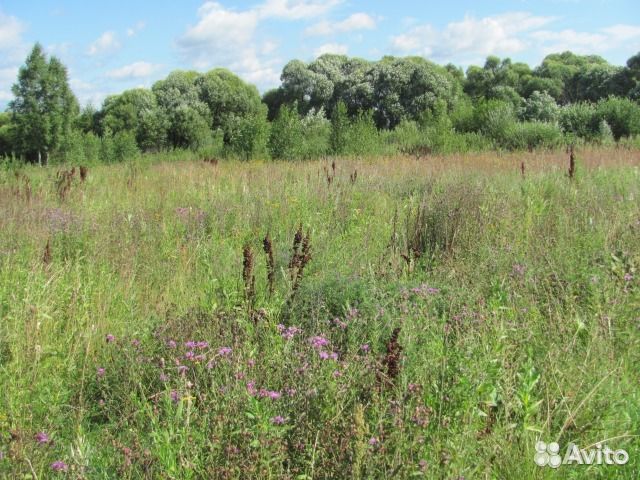 Участок 40 сот. (ИЖС) Участок 40 сот. (ИЖС)