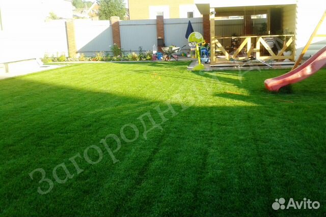 Рулонный газон в Самаре