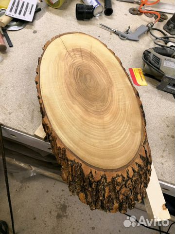 Косой спил ясеня Косой спил ясеня