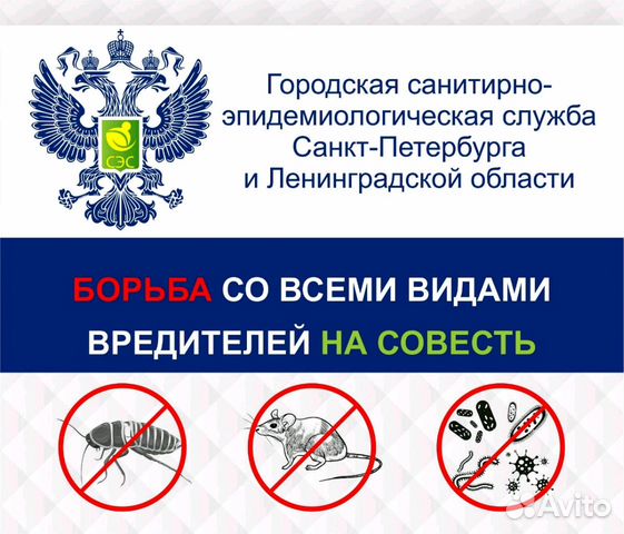 Уничтожение клопов тараканов насекомых
