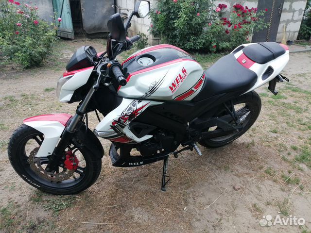 Wels ghost 250