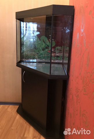 Аквариум угловой 200л., с тумбой Аквариум угловой 200л., с тумбой