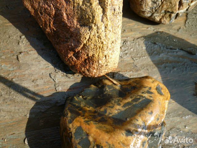 Речной камень, грунт, валуны, мшатник, коряги. Бол купить на Зозу.ру - фотография № 7