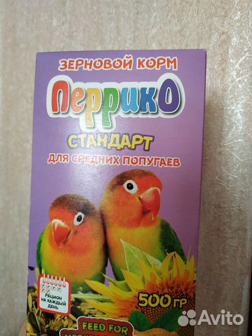 Попугай неразлучник купить на Зозу.ру - фотография № 3