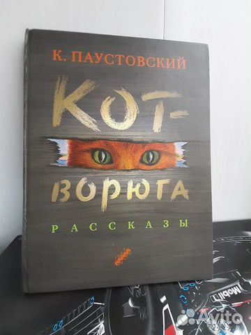 Книга: Кот ворюга