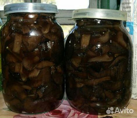 Грибы Свинушки солёные Грибы Свинушки солёные