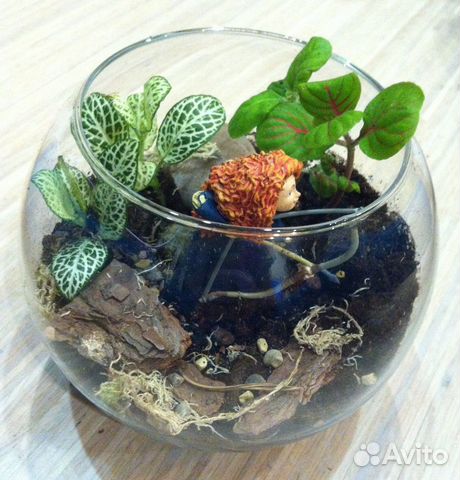 Флорариумы разных размеров