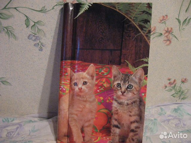 Альбом для фотографий Альбом для фотографий