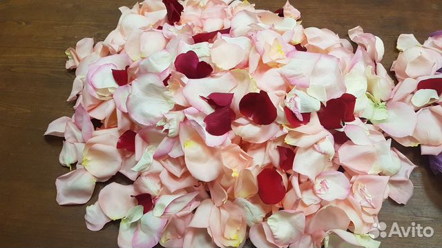 Лепестки роз