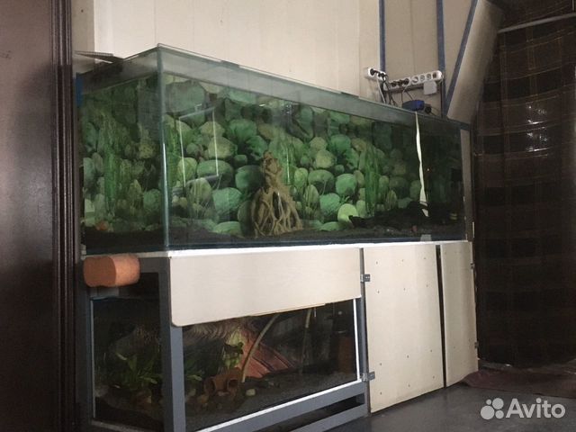 Продаётся аквариум 1000 литров купить на Зозу.ру - фотография № 1