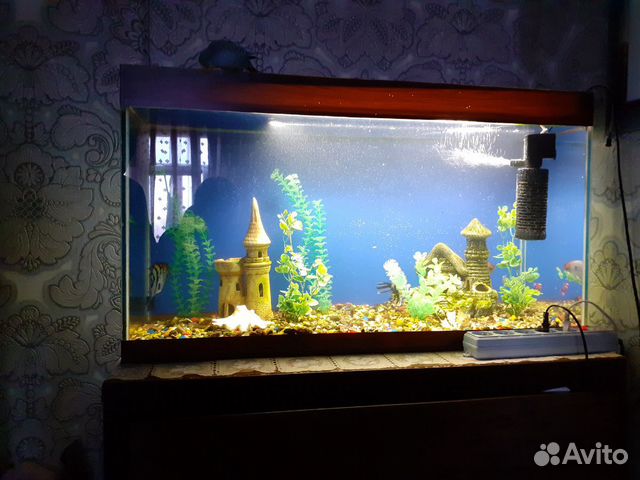 Украшение для аквариума,аквариум купить на Зозу.ру - фотография № 5