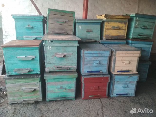 Ульи пчелиные купить на Зозу.ру - фотография № 3
