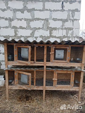4 клетки для кроликов и маточник для крольчики купить на Зозу.ру - фотография № 1
