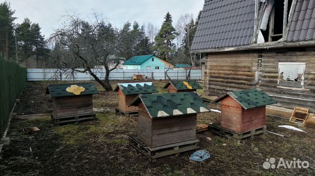 Пасека без пчел, ульи Лазутина теплые для северных купить на Зозу.ру - фотография № 2