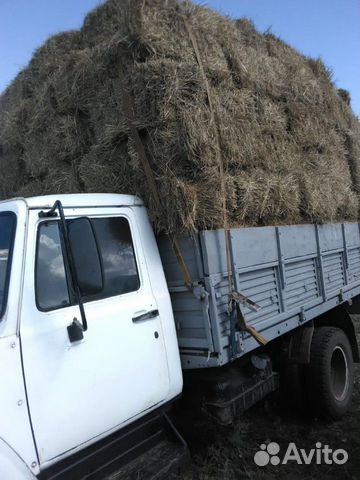 Продается сено и солома купить на Зозу.ру - фотография № 2