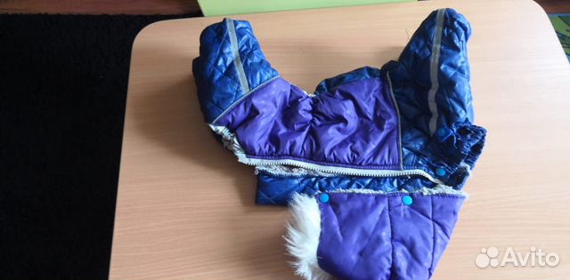 Одежда для собак