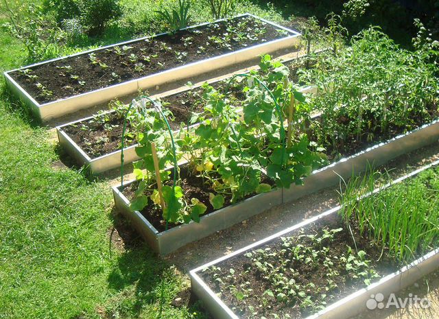 Грядки из оцинкованной стали Грядки из оцинкованной стали