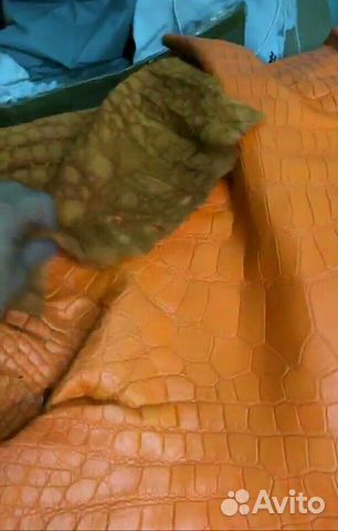 Крокодиловая кожа (Италия и Китай) Крокодиловая кожа (Италия и Китай)