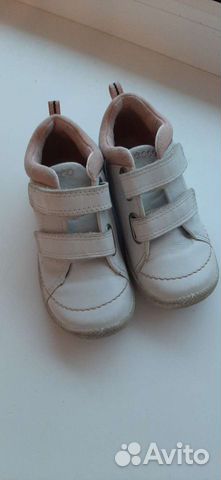 ecco biom 25