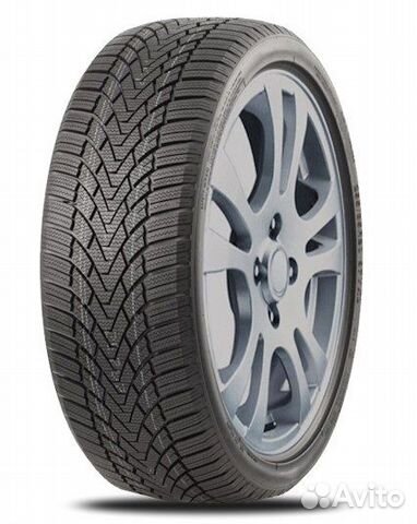 Roadmarch Winter XPro 888 205/55 R17 95H