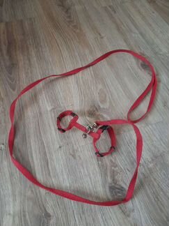 Шлейка для хорька