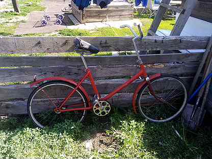 Авито оренбург велосипеды. Велосипед Орленок оранжевый. Велосипед Орленок СССР Вайрас. Орленок велосипед трехколесный. Собака на велосипеде с хозяином.